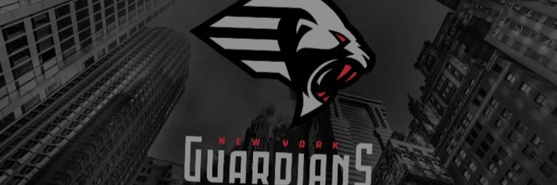 XFLNewYork's profile banner image