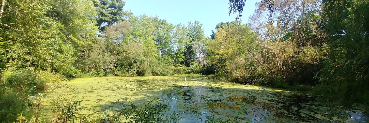 Tinfoilhat Enthusiast banner