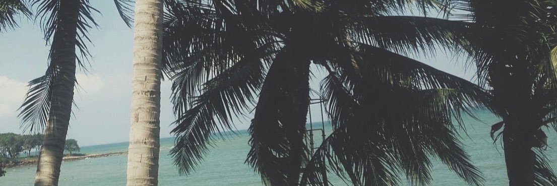 Nbnann's profile banner image