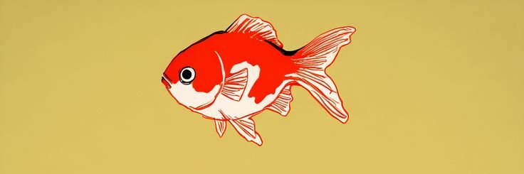 Stevoriii's profile banner image