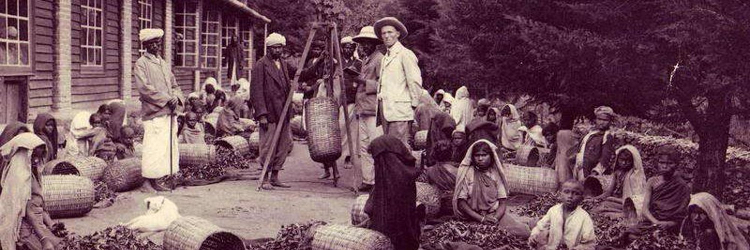 DK Large 🇵🇸 🪁 banner