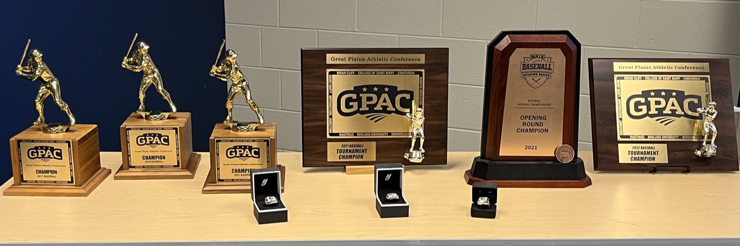 Bulldog Baseball banner