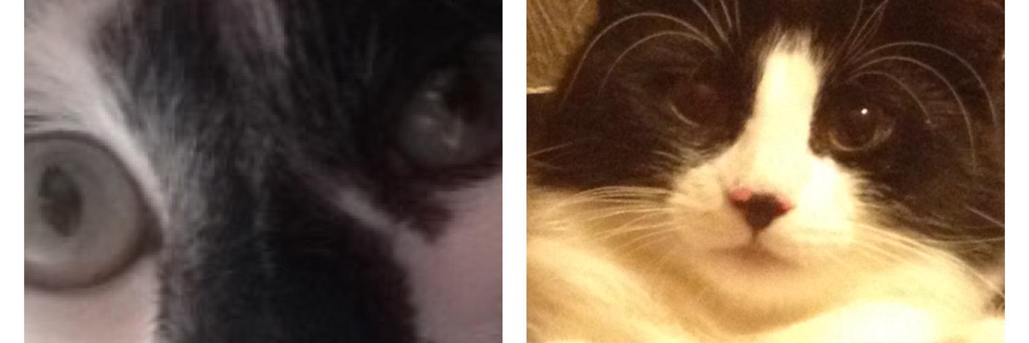 dwales1's profile banner image