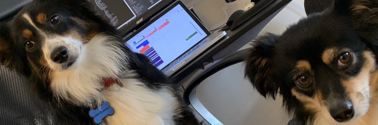 wimsy's profile banner image