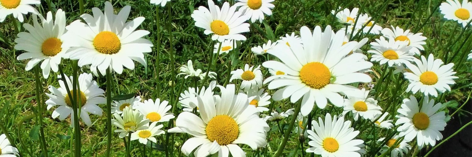 2525415mi's profile banner image