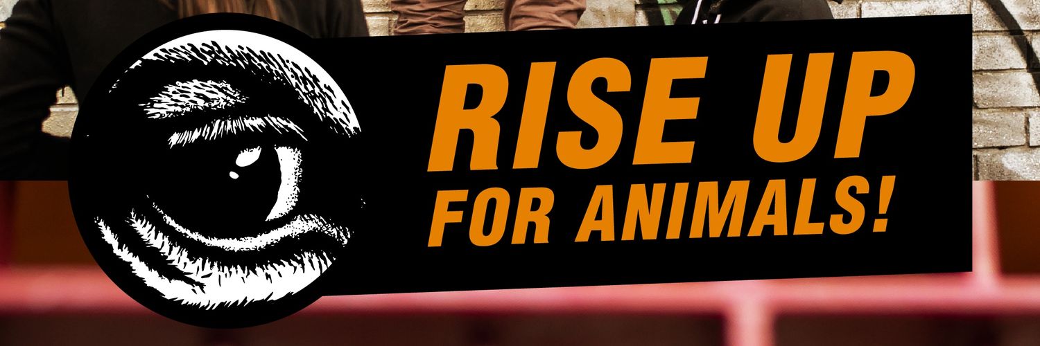 Animal Save Australia banner