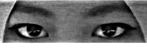 RismaIdrus's profile banner image