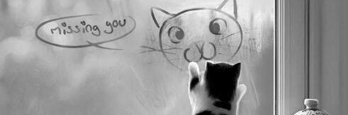 missyoubot's profile banner image