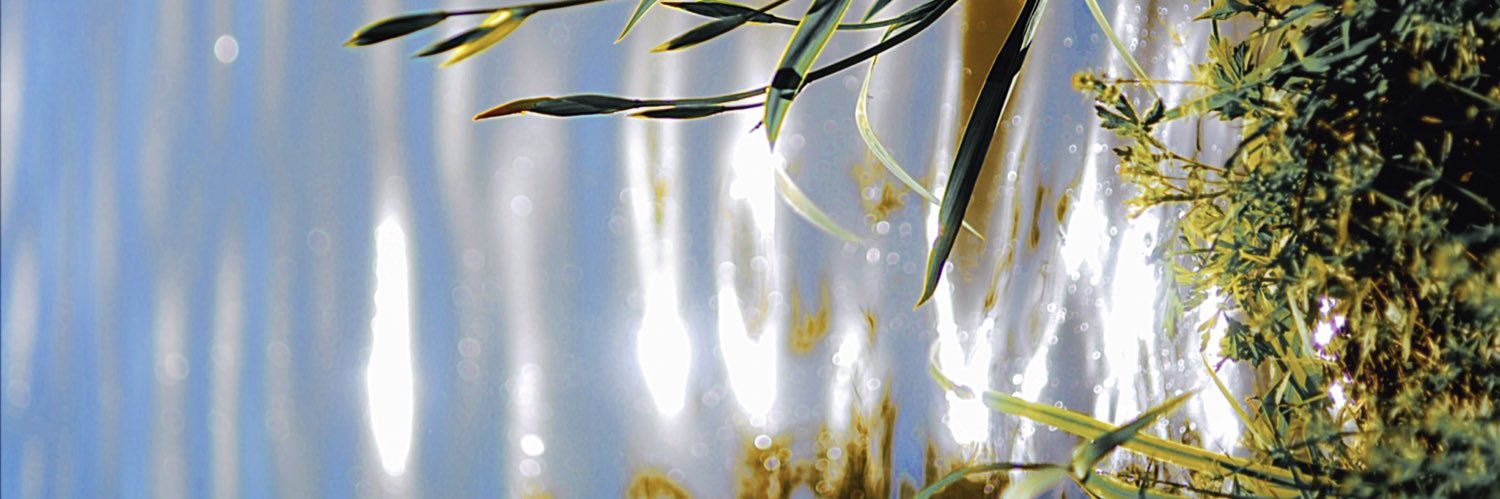 이른 イルン banner