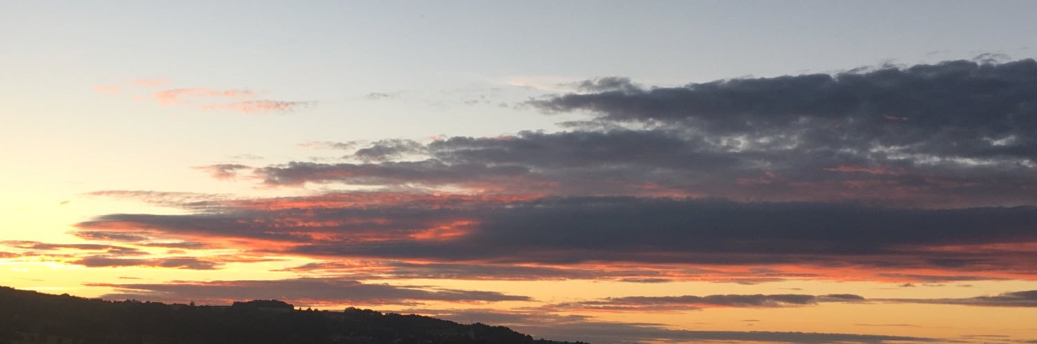 LilyWolf90's profile banner image