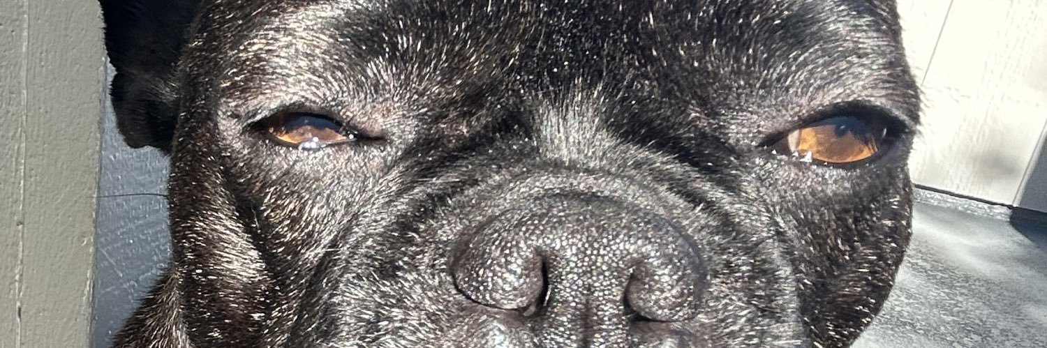 gueebo_'s profile banner image