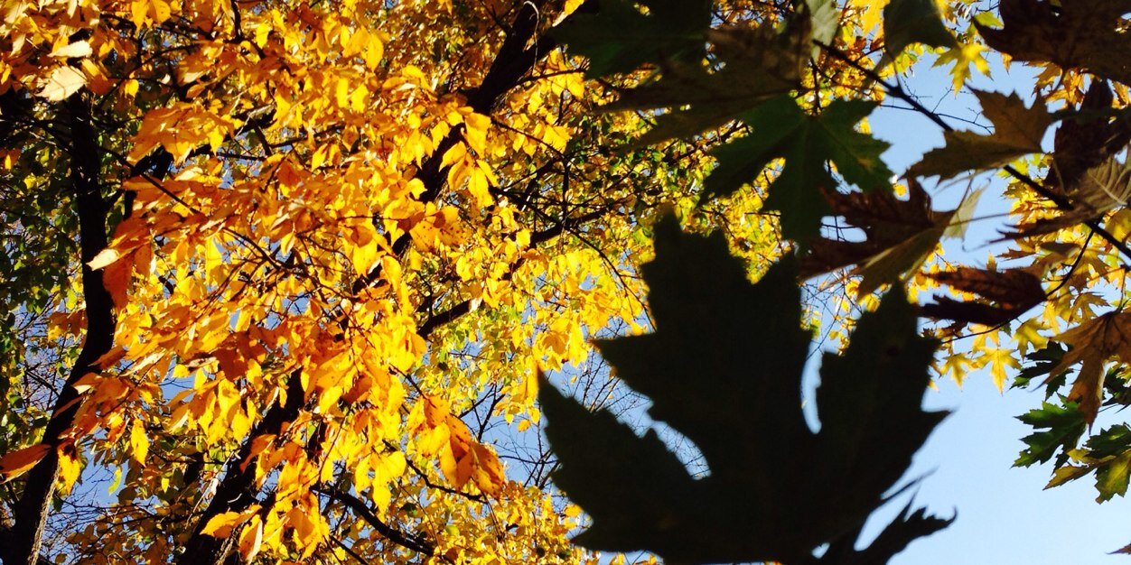 WaltCochran's profile banner image