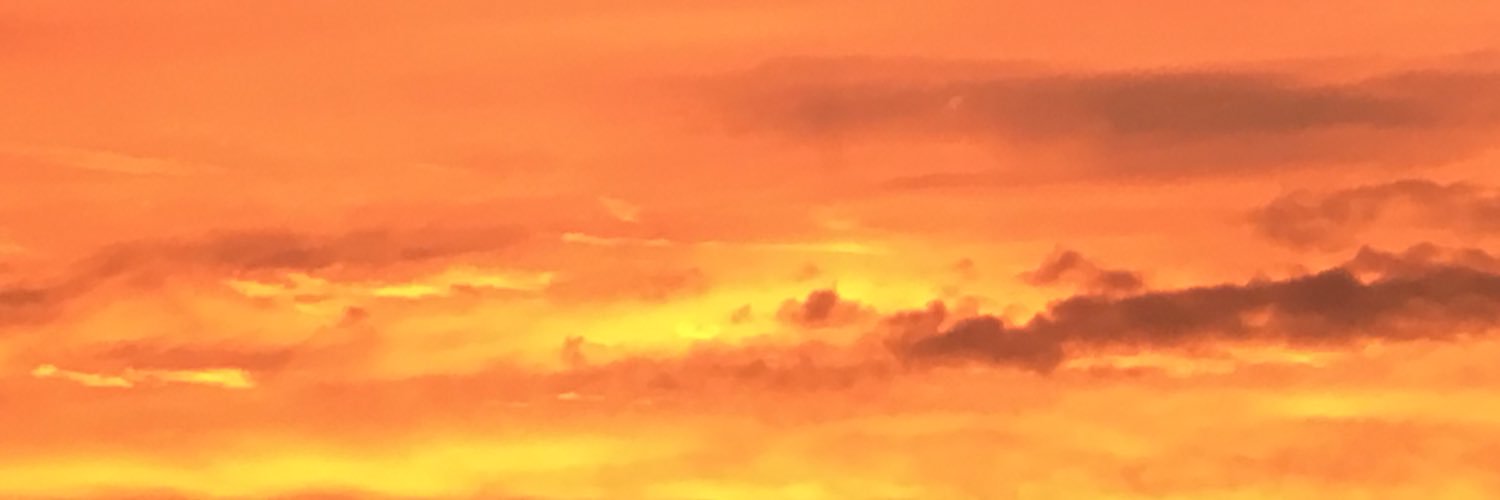 55378008_'s profile banner image