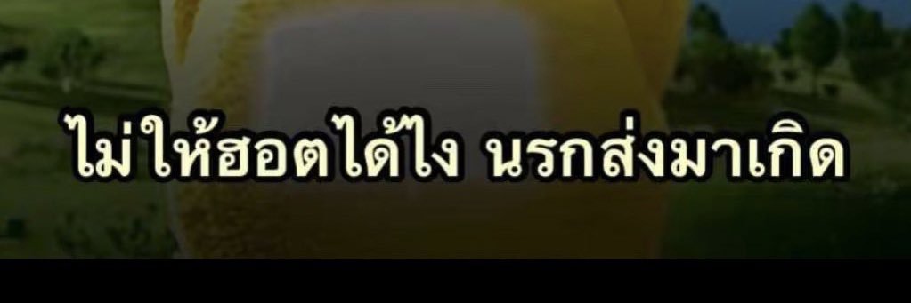 짜누닝이♡〜＊ banner