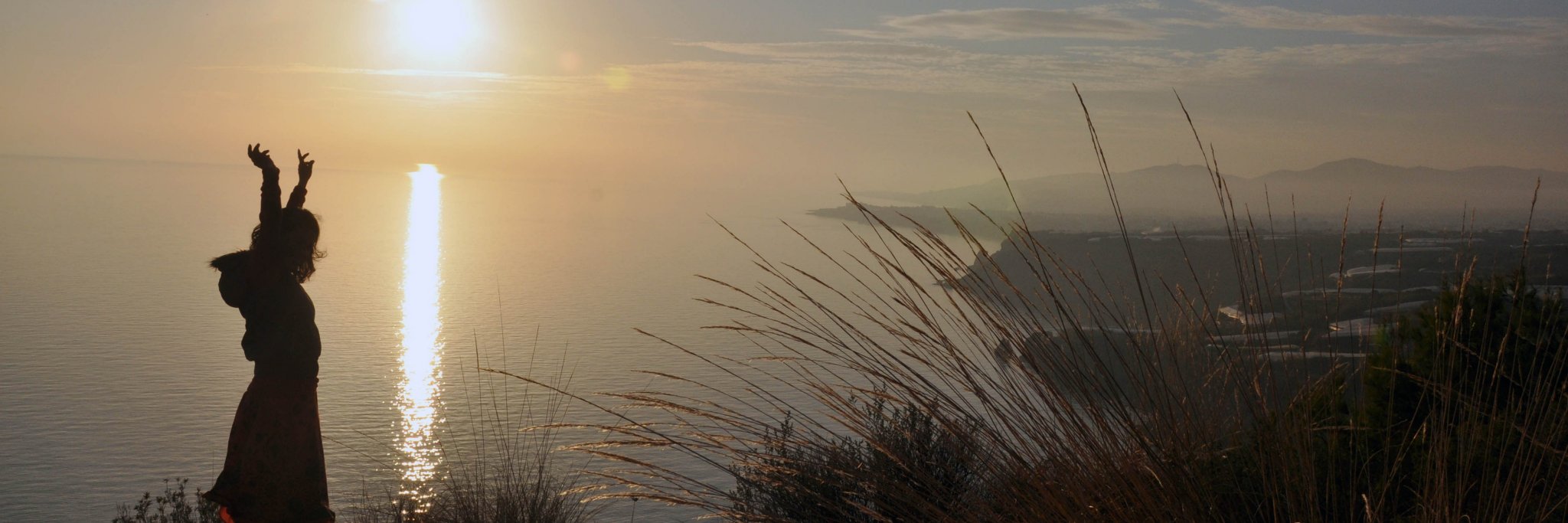 soloxobservar's profile banner image