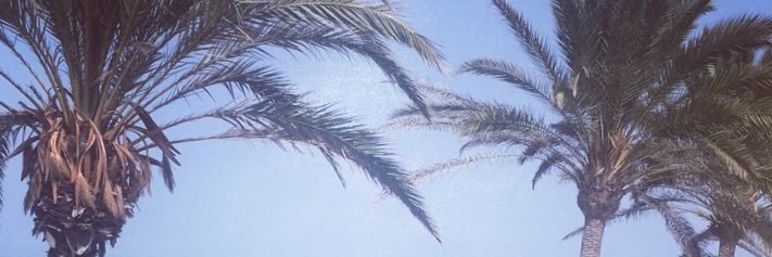 _suckonit's profile banner image