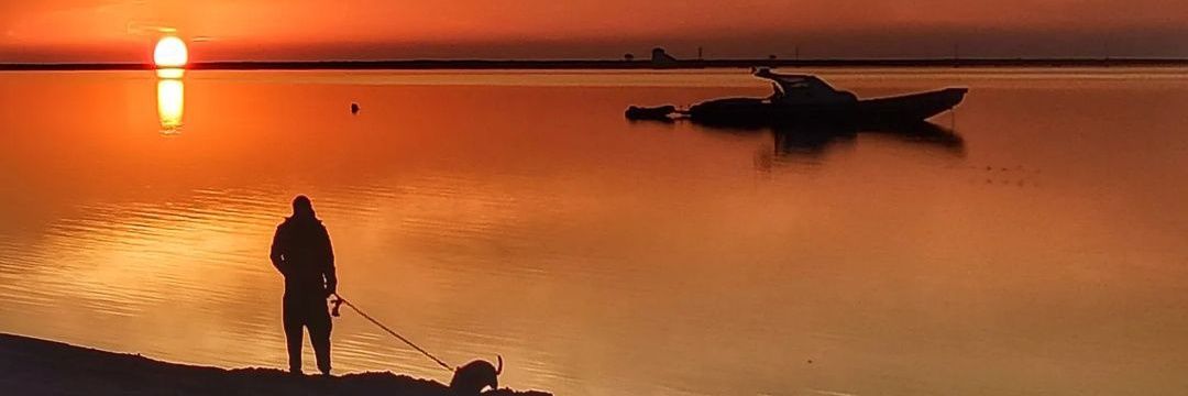 Guille Pedreira Robles banner