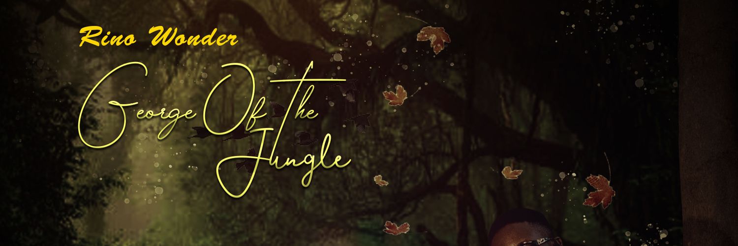 LikkleWonder's profile banner image