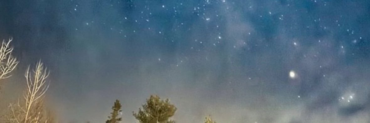 nyinyid's profile banner image