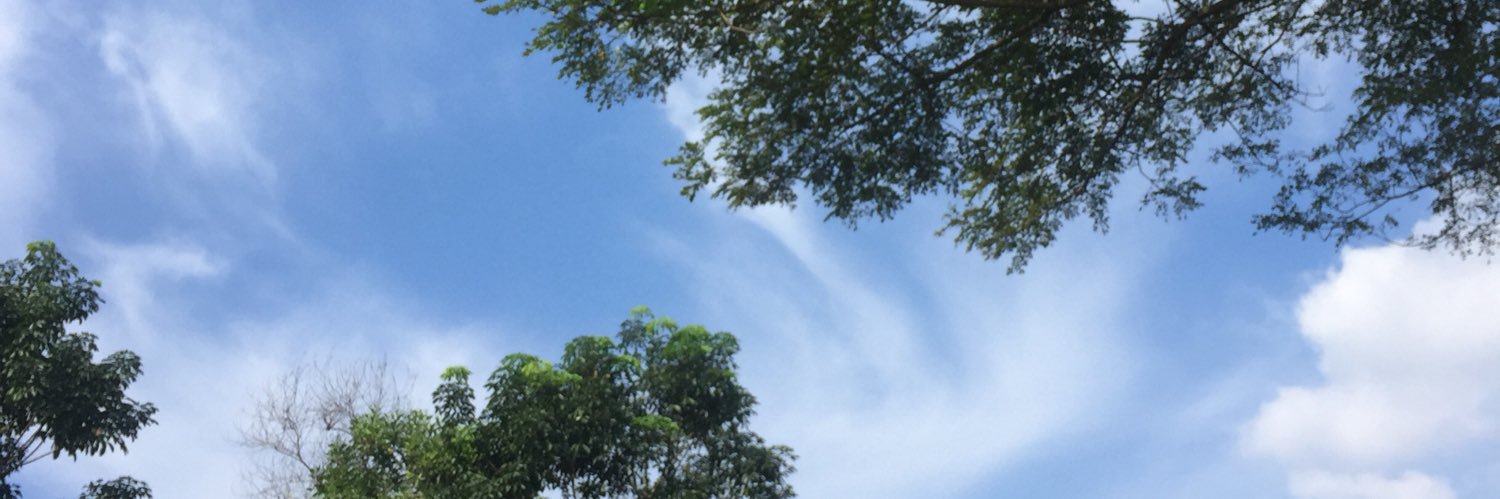 itsiu23's profile banner image