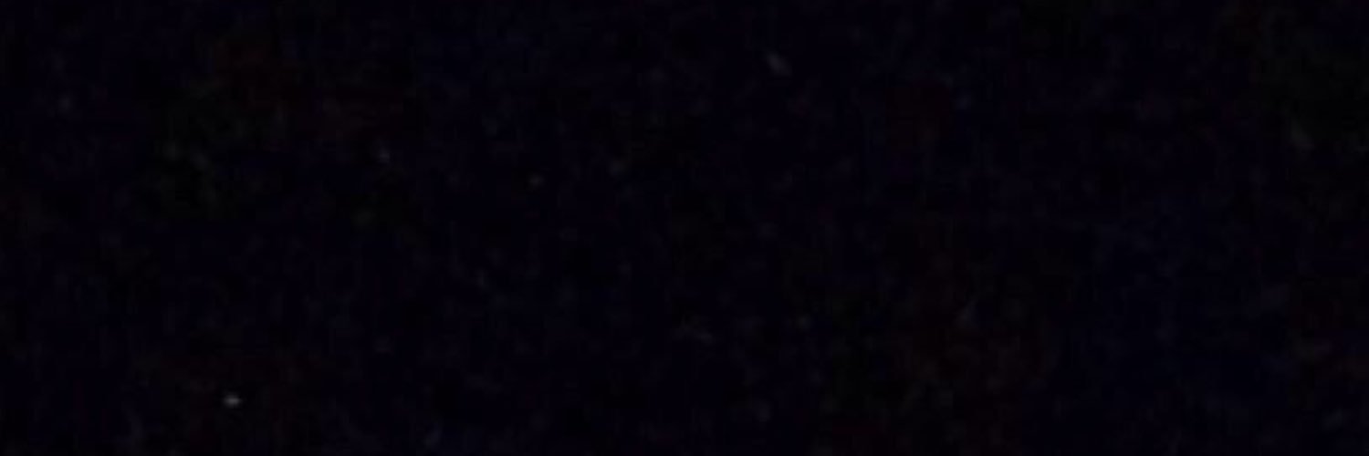 suzli_'s profile banner image