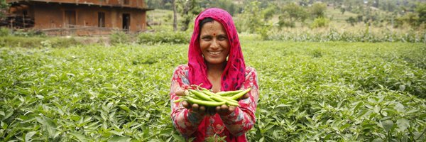 JPRWEE Profile Banner