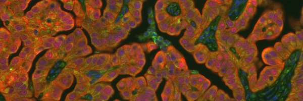 johnpmorrisiv Profile Banner