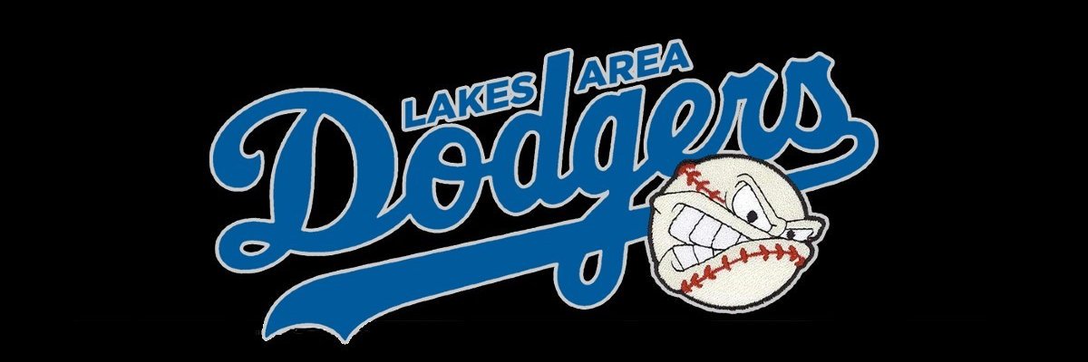 Lakes Area Dodgers banner