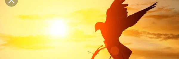 Alenamf19 Profile Banner