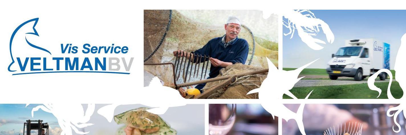 Veltman Vis Service banner