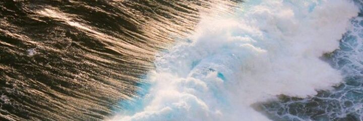 esterferonika's profile banner image