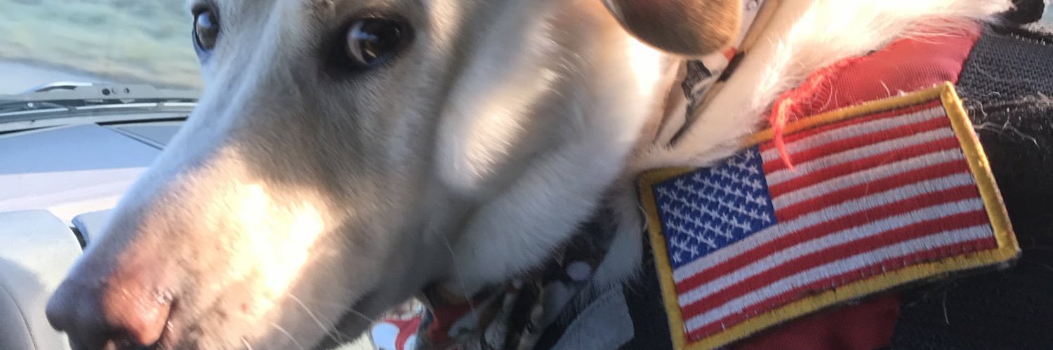 Paddlefoot & Malcolm banner