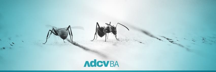 adcvba's profile banner image