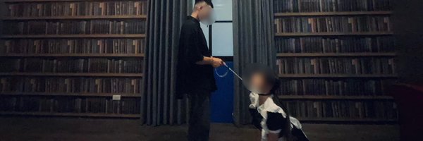 violedisappear Profile Banner