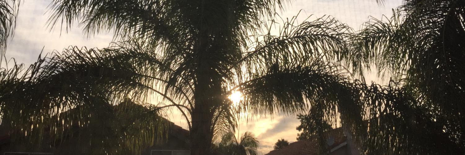 nosabesnadaaaaa's profile banner image