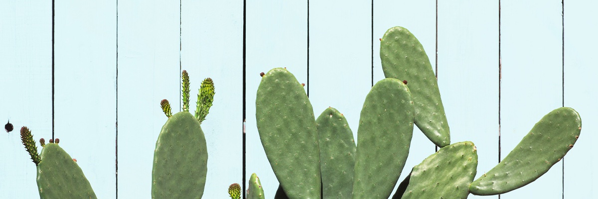Marilyn16b's profile banner image