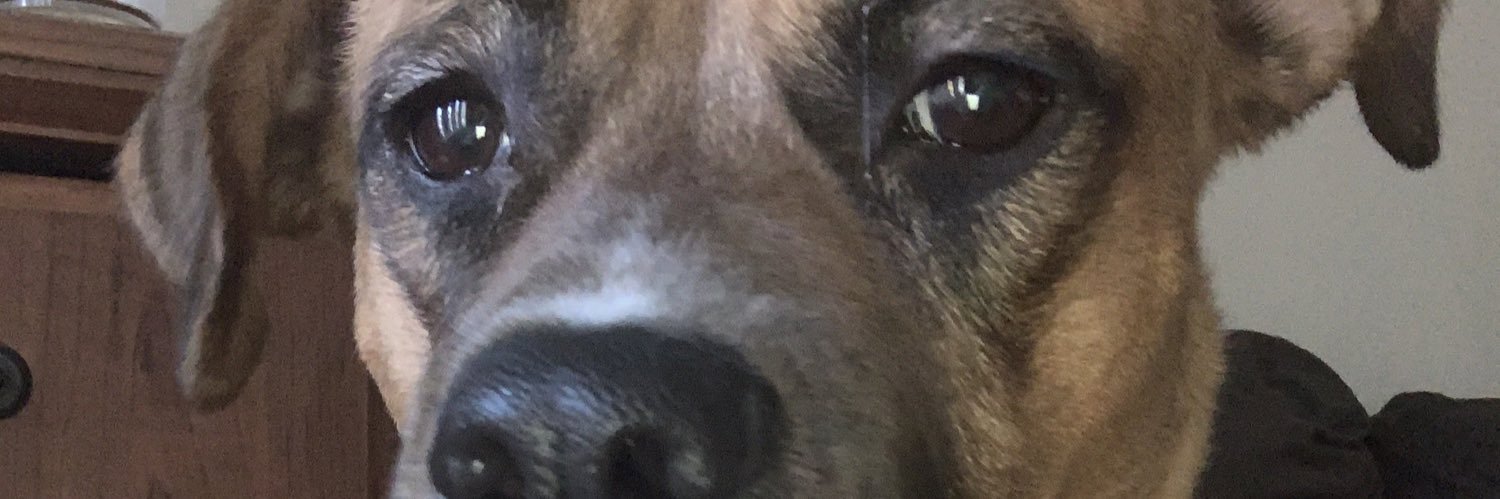 Sykotic steve banner