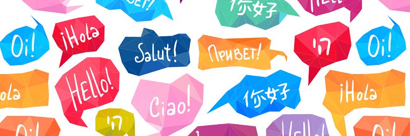 Alness Academy Languages Department banner