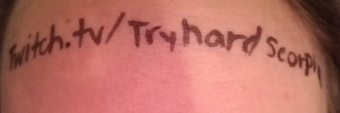 TryhardScorpio banner
