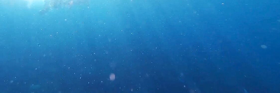 Niyamarchl's profile banner image