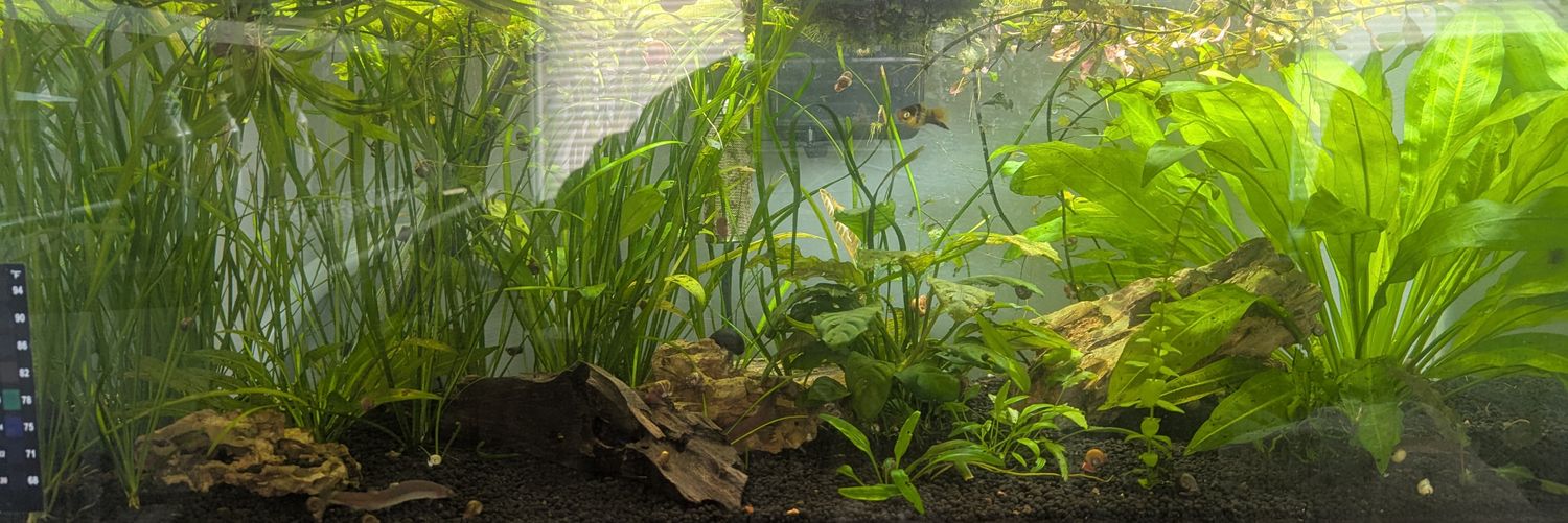 Just Justin🇺🇸 banner