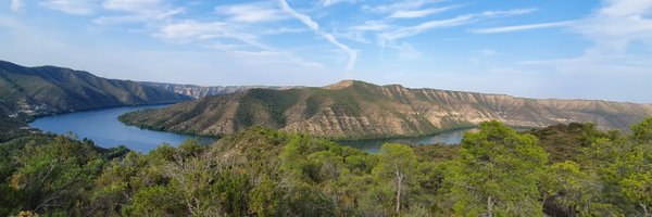 Almatret Profile Banner