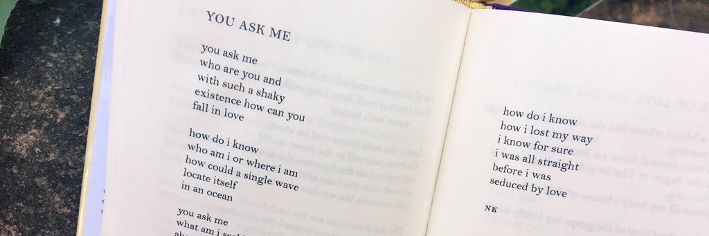 Seline van der Wat banner