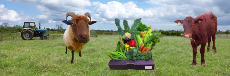 GreengrowCoop's profile banner image