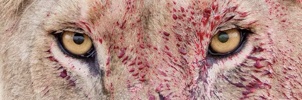 realmitchellqb Profile Banner