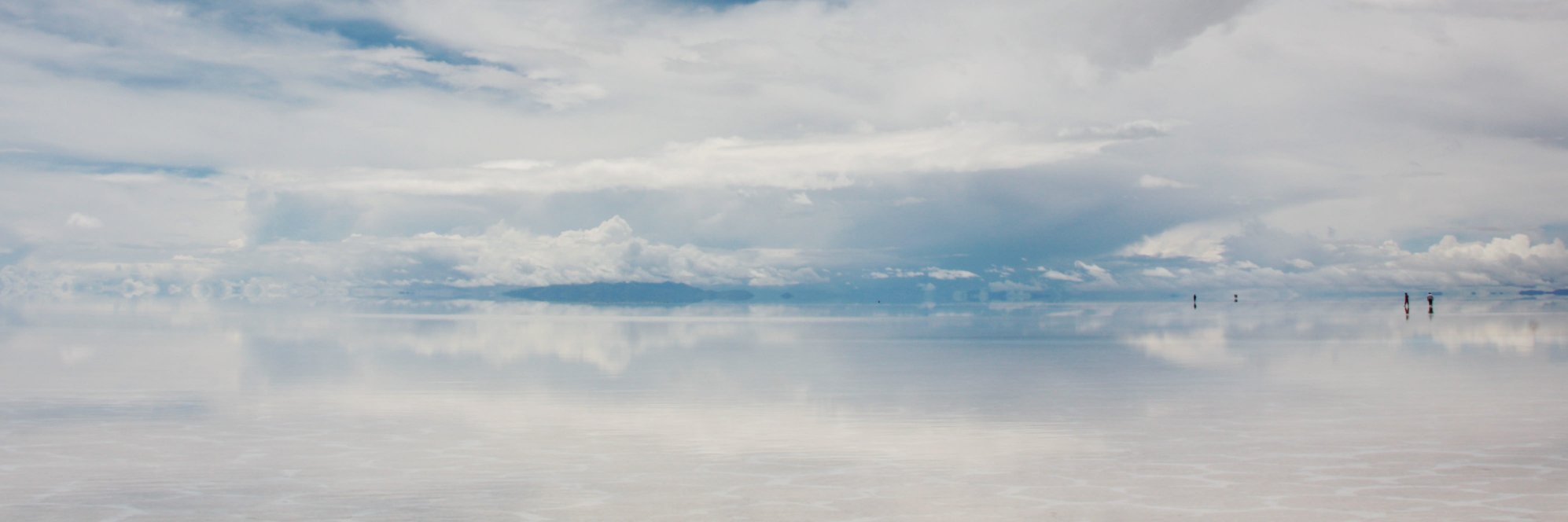 DaveGrumme's profile banner image