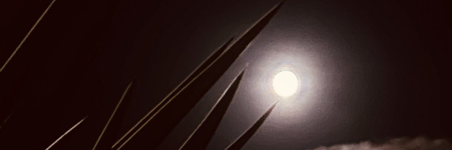 Albx1801's profile banner image