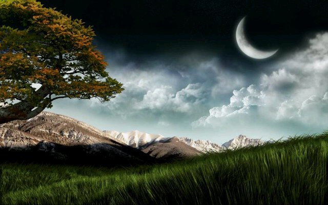 Muhammadmeralza's profile banner image