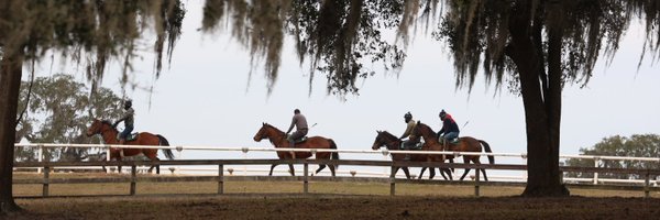 quinnsridellc Profile Banner