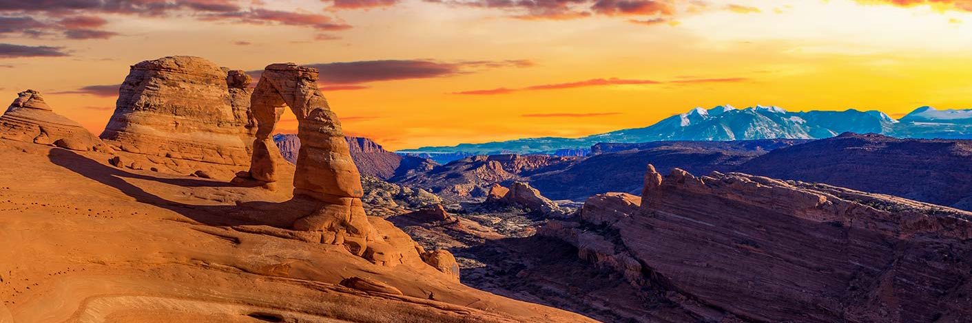 Austin ⬆️ Stand Alohn banner